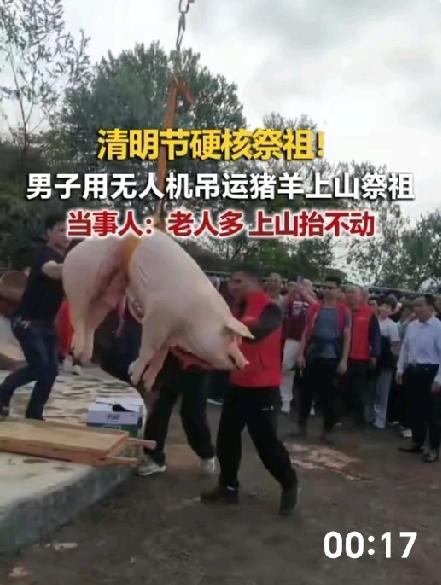 清明节出现与时俱进新风俗：
无人机天降猪羊至山里祖坟，
梅州一男子硬核祭祖引热议