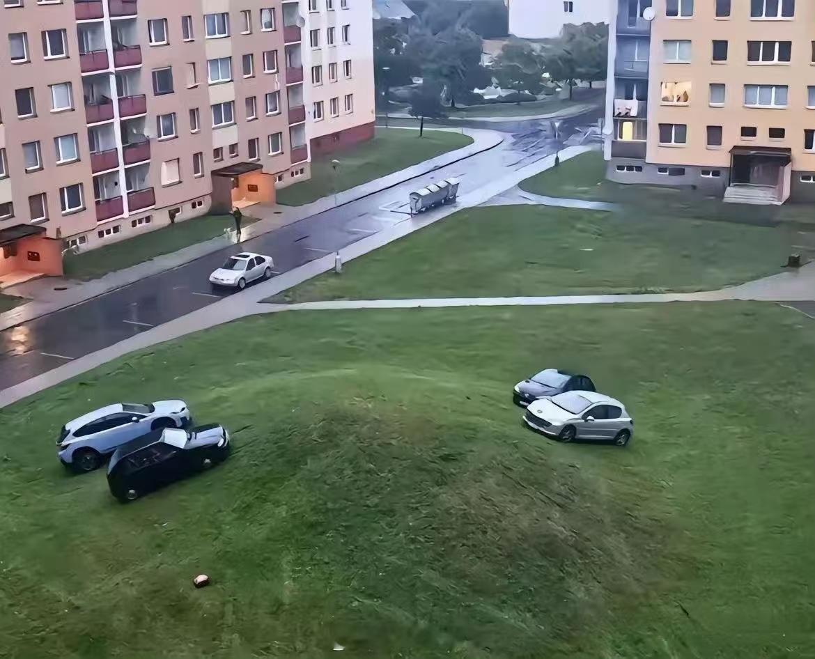 每个小区都有几个大聪明