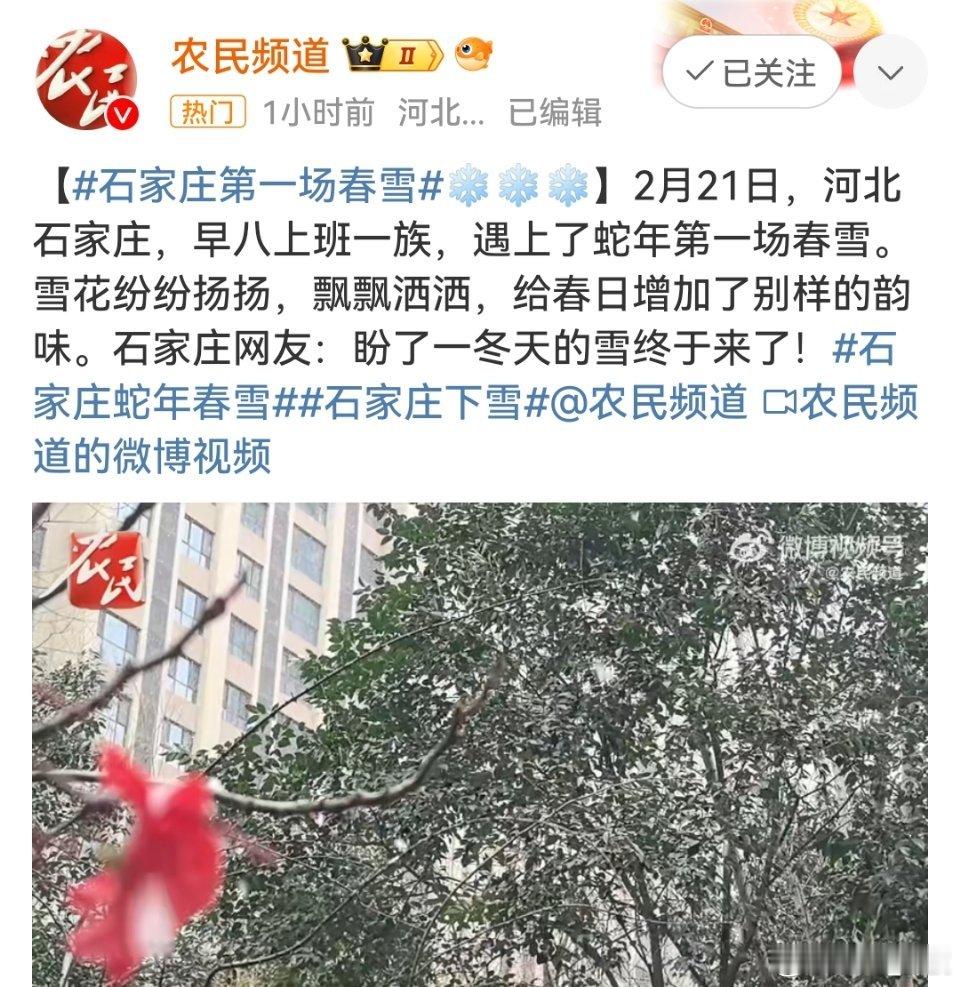 石家庄下雪  我的省会迎来了2025年的第一场雪，我说我这里怎么这么冷。 