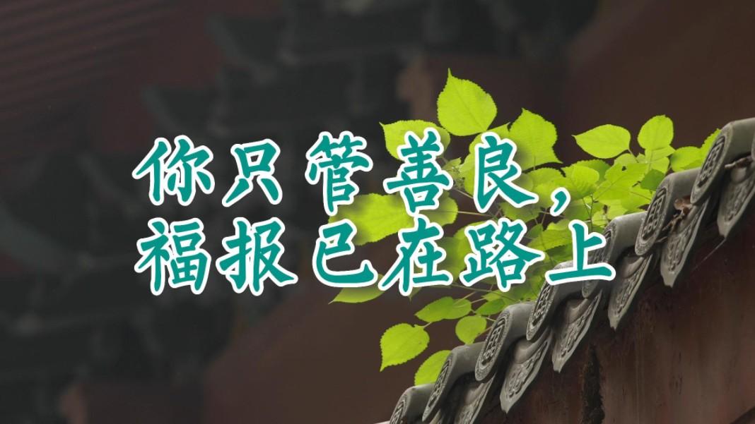 人行善，天必护；
人积德，福自来。
这世间最踏实的修行，
是默默行善，不问归期。