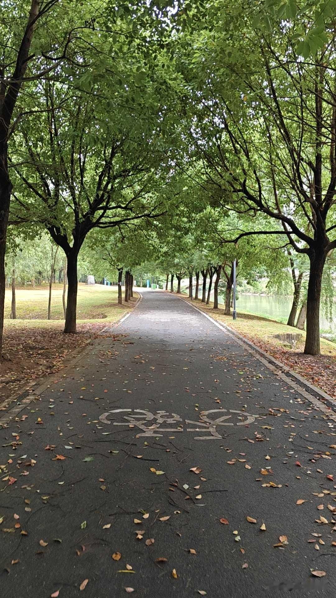 一大早公园里跑一圈，大汗淋漓，那个舒畅啊！