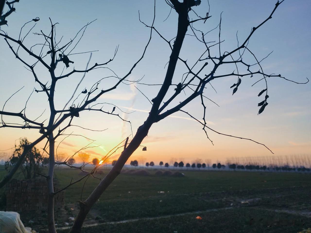 眼前的你在我的生命里默默的成了不可磨灭的记忆，每次见你我都感觉幸福无比，仿佛我的