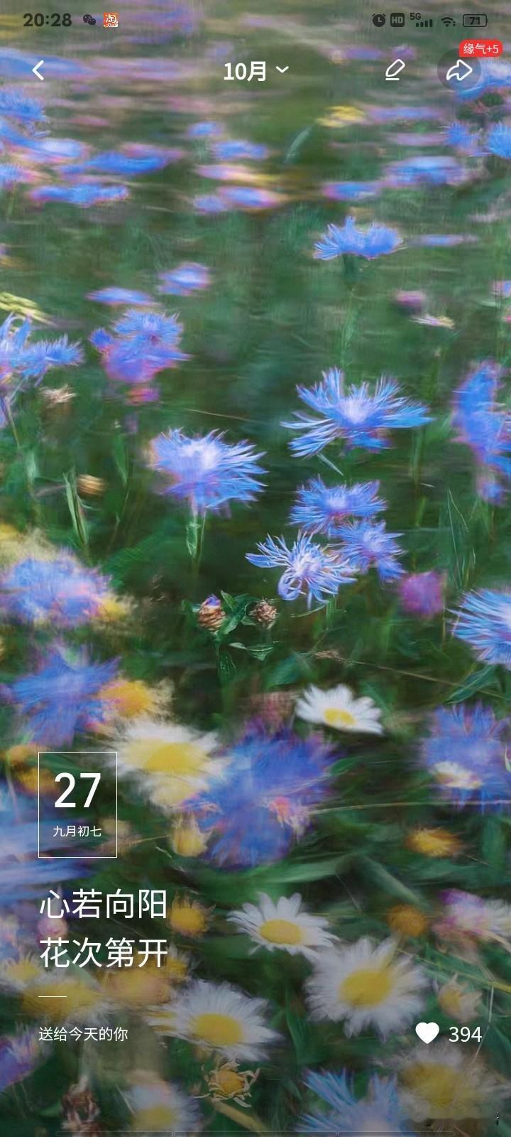 再等等，再坚持坚持，阳光就在前方[灵光一闪]