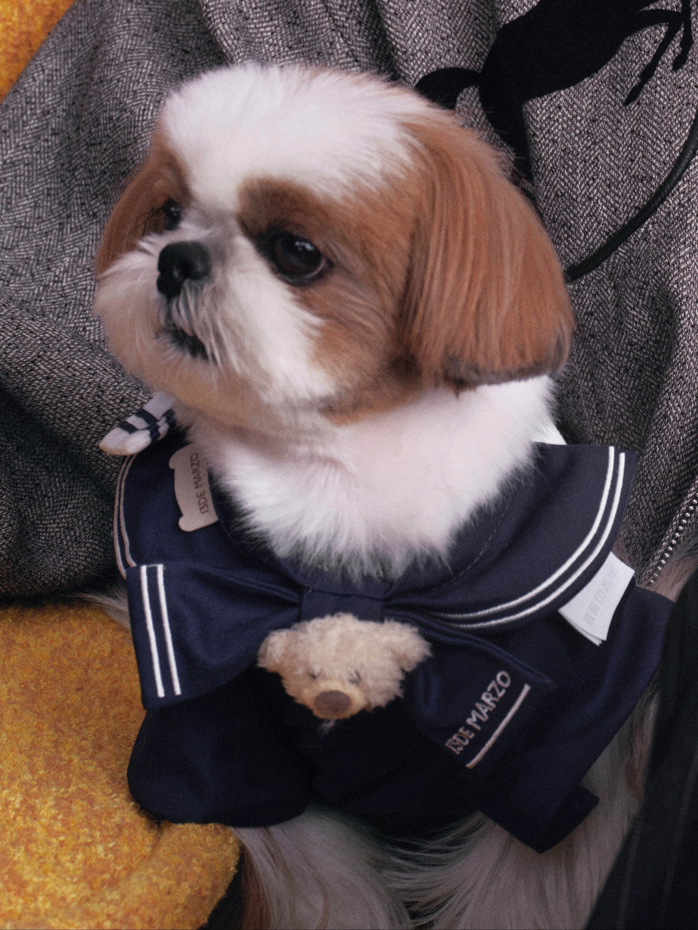 才发现檀健次给小呆呆穿的疑似是jk 