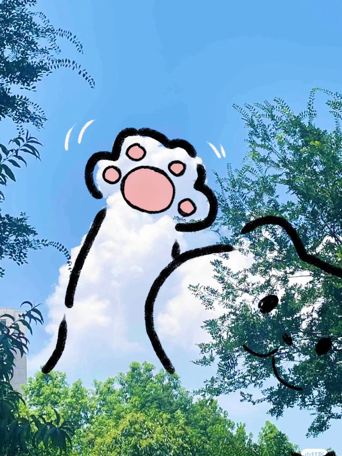 #‎阳光‎信用# ✨ | ✨#‍每日‎一善# 勇敢的人先享受世界。大大方方地去接