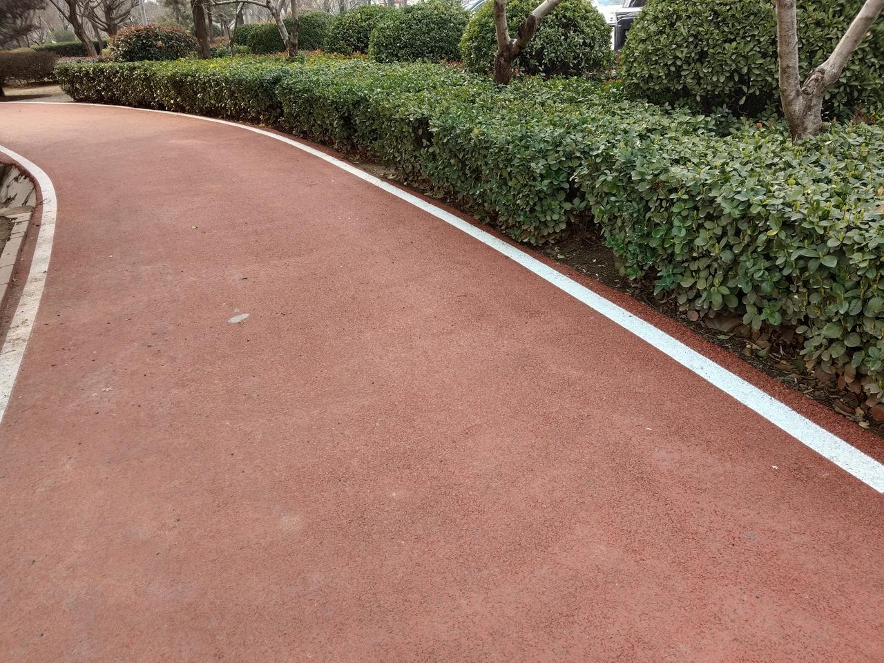 早春时节，我每天都会去外面走走，柳树已发出浅黄的嫩芽，迎春花已经开放。

阳光洒