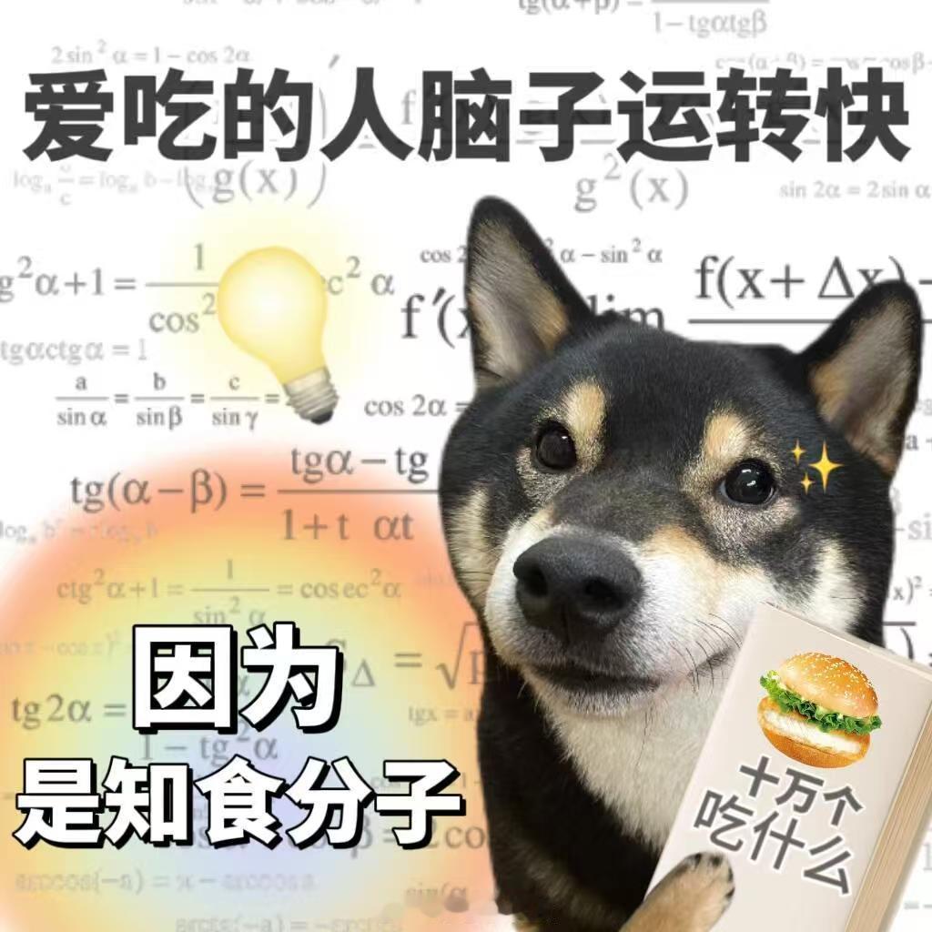 等我老了才不会玩这些梗 现在拒绝有多坚决，老了玩梗就有多上头，开心才是王道～ 