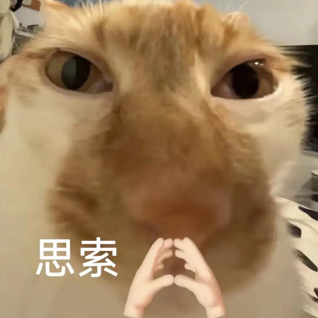 我是一个没有贷款，连花呗信用卡都没用过的人，没有体会过还贷的感觉，我很反感提前透