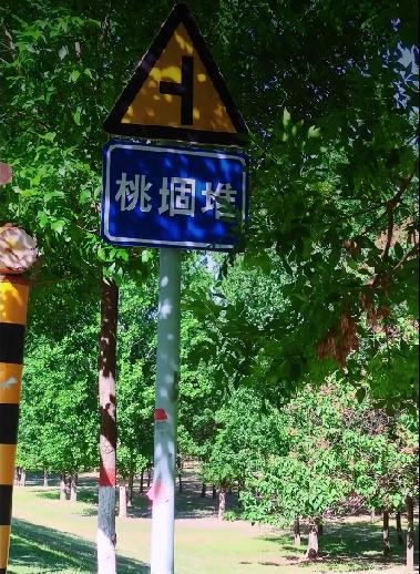 鄄城县陶堌堆遗址

陶堌堆遗址，鲁西南地区古文化遗址。位于鄄城县旧城镇葛庄村西南