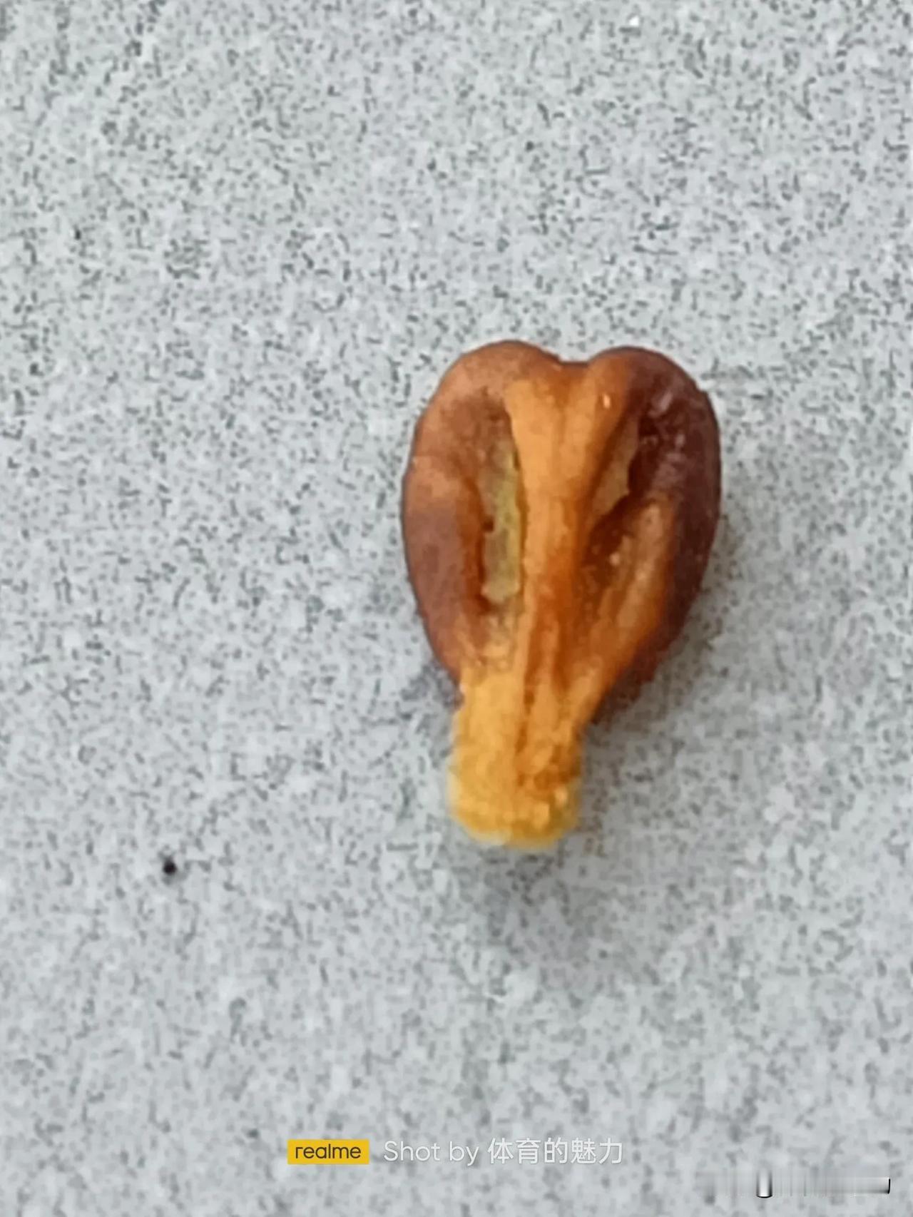 这个东西谁认识，果园里发现的，第一次看到，好像什么东西的籽，没有果肉，谁认识评论