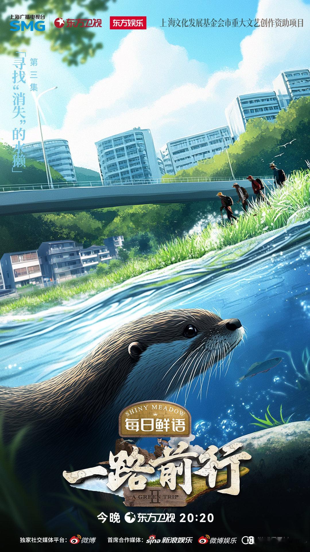 胡歌陈龙小亮寻找消失的獭   消失多年的水獭悄然重回视野，它们在城市中心、人类聚