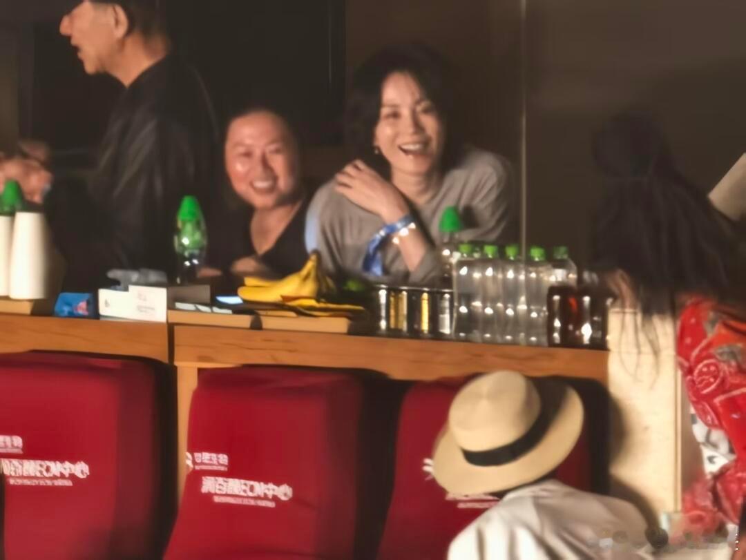那英演唱会包厢群星璀璨 王菲、杨坤张碧晨、宋丹丹都去了！群星璀璨啊！！ 