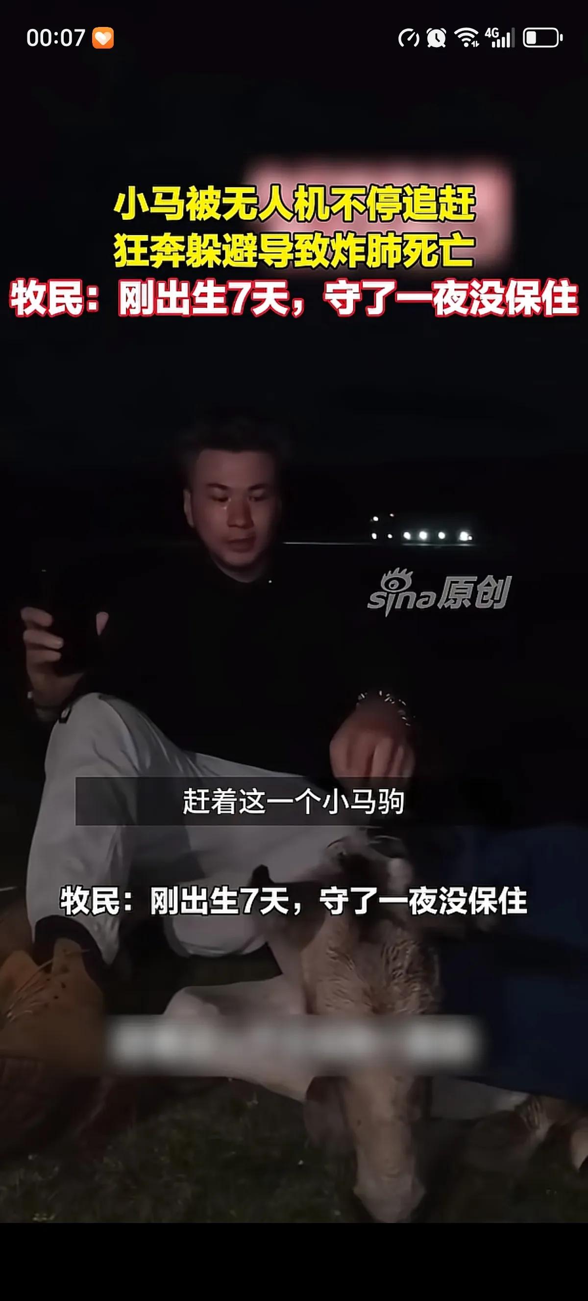 新疆巴音郭楞草原牧场上，几名游客用无人机不停抓拍驱赶马群。牧民赶到的时候，刚出生
