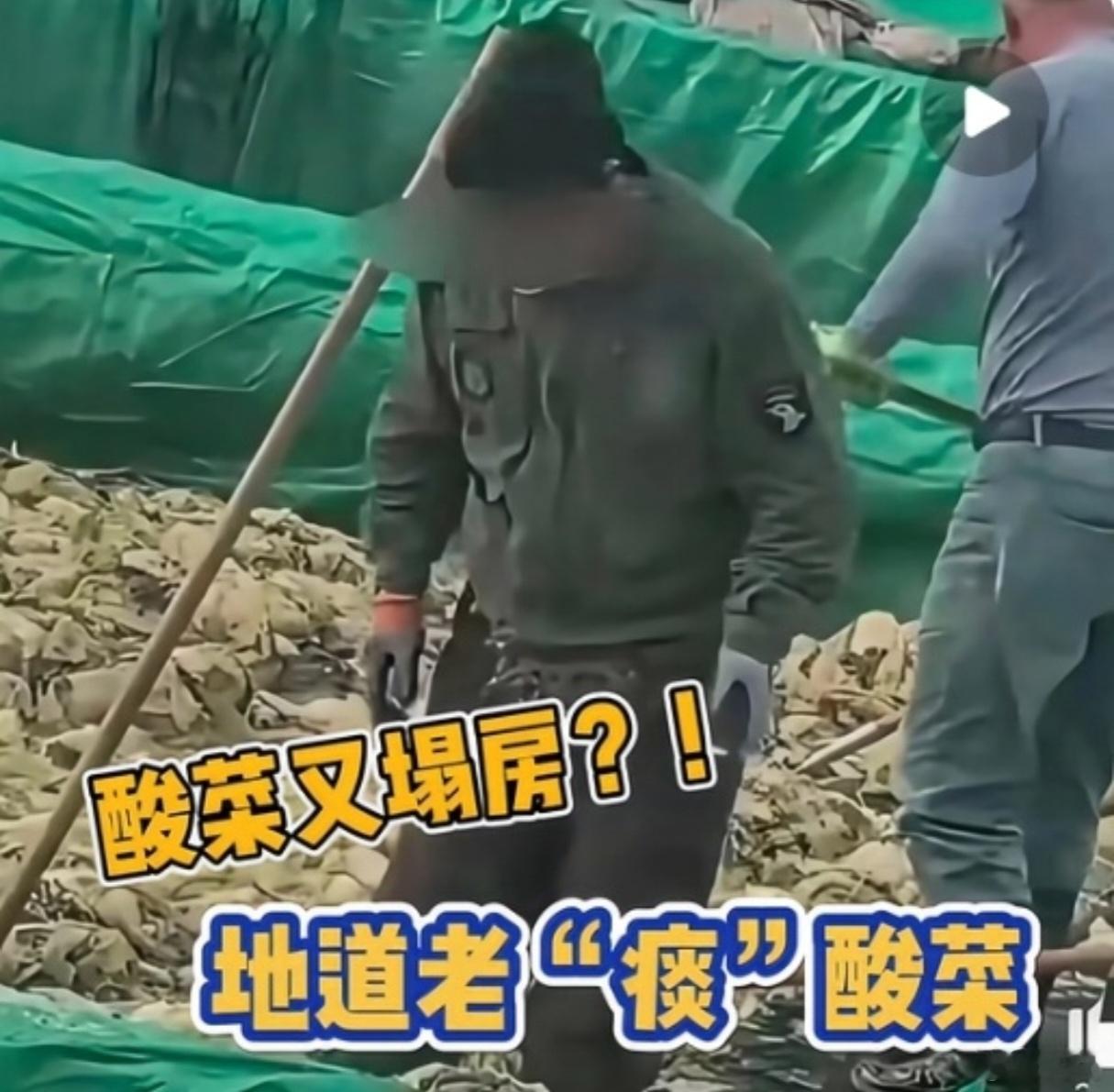 员工酸菜池中抽烟吐痰老板被罚100万一颗干净的酸菜就这么难吗？现在完全不敢吃酸菜