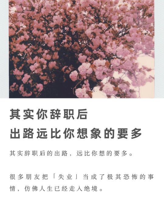 其实你辞职后，出路远比你想象的要多