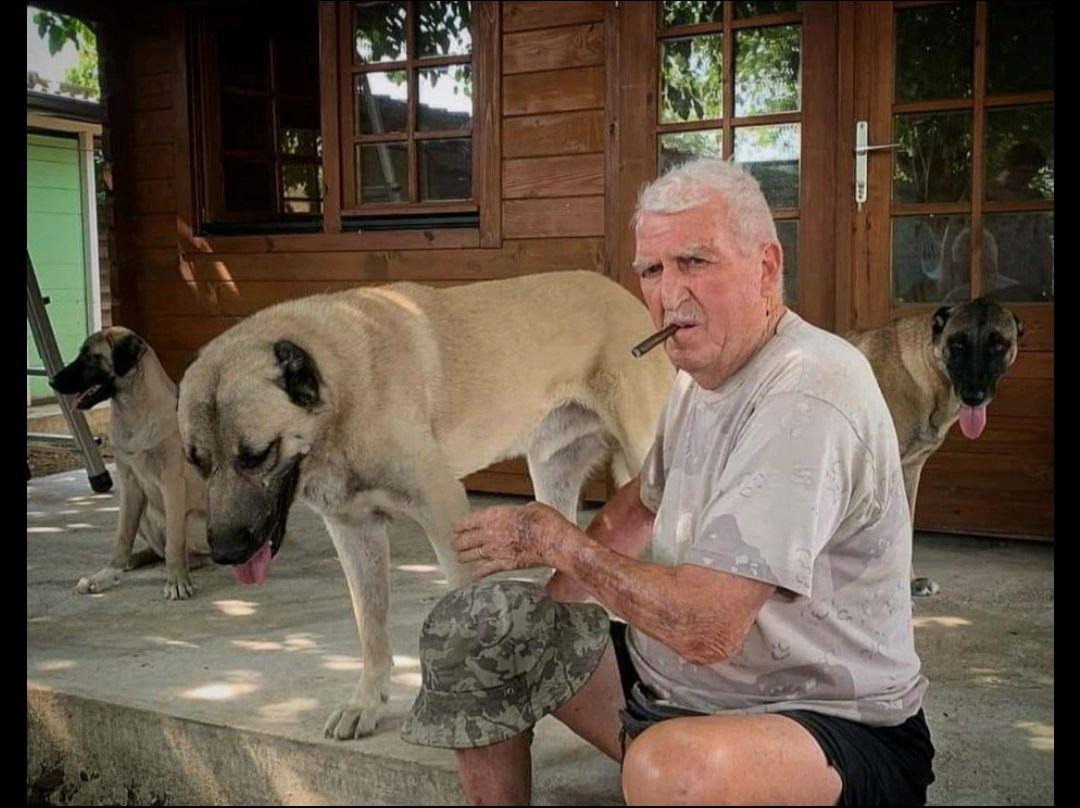 老人与狗，坎高在意大利