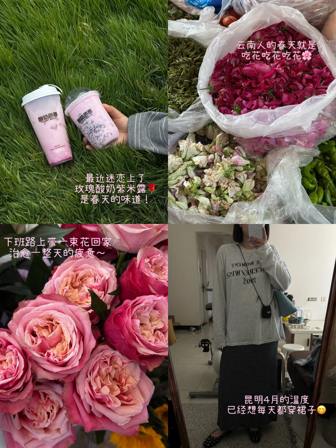 （昆明）𝙿𝙻𝙾𝙶之春城（enfj）花花女子图鉴💖