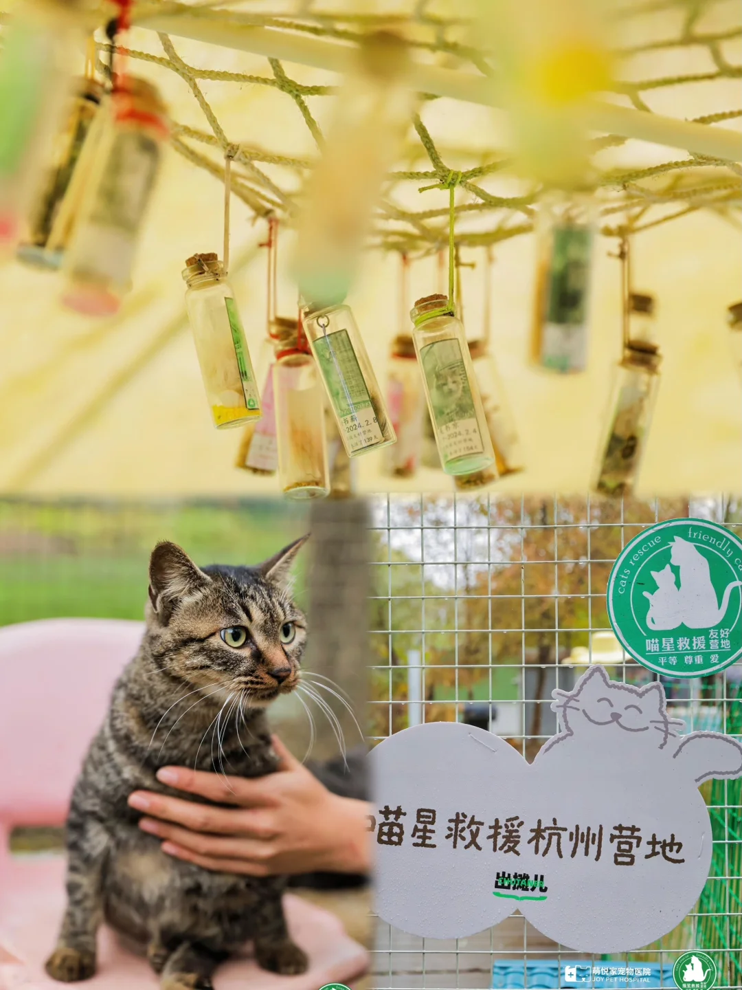 杭州解百【宠愈暖冬生活节·RONG PARTY】来啦！