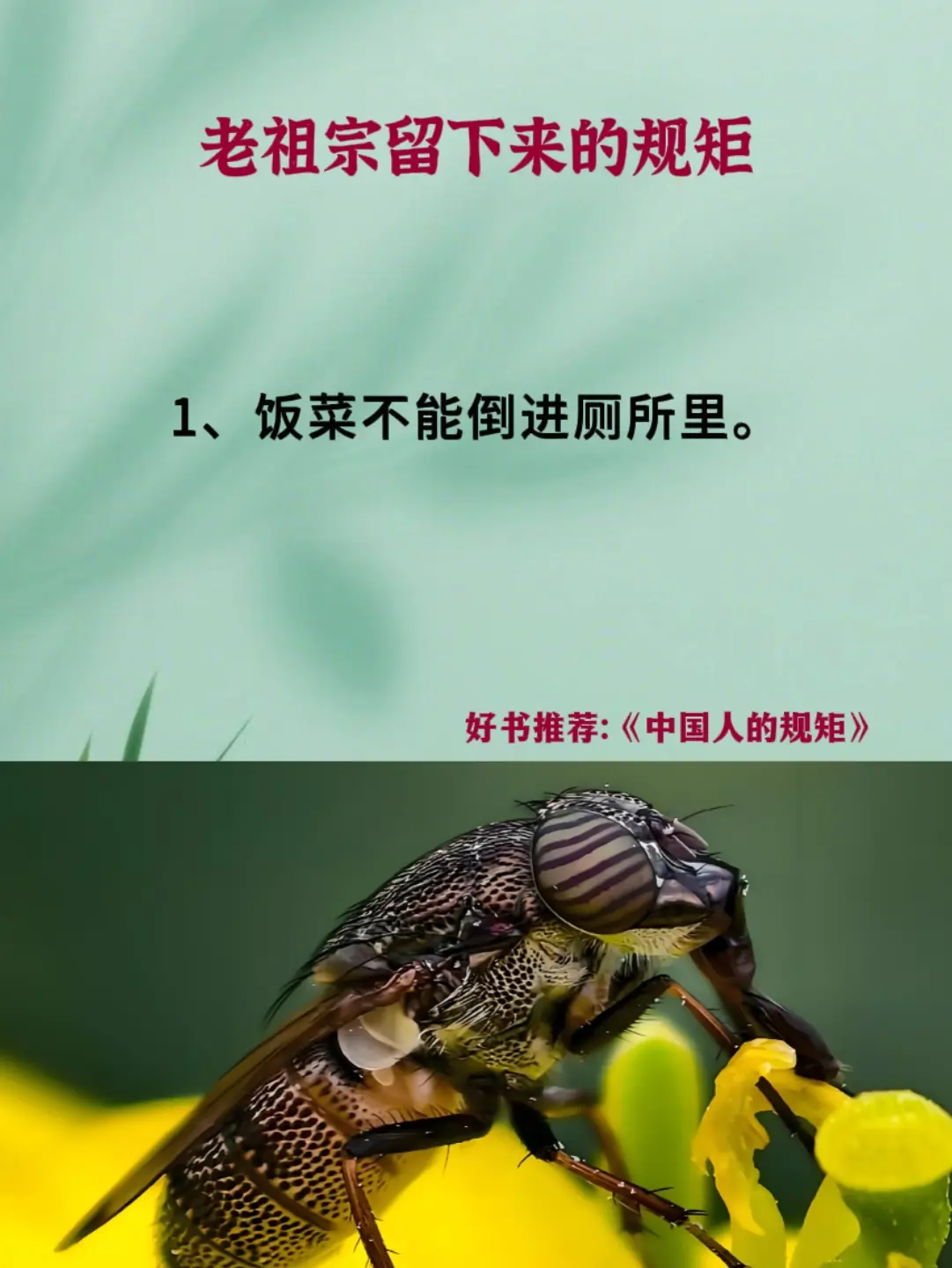 老祖宗的智慧 传统文化 中国人的规矩 好书推荐