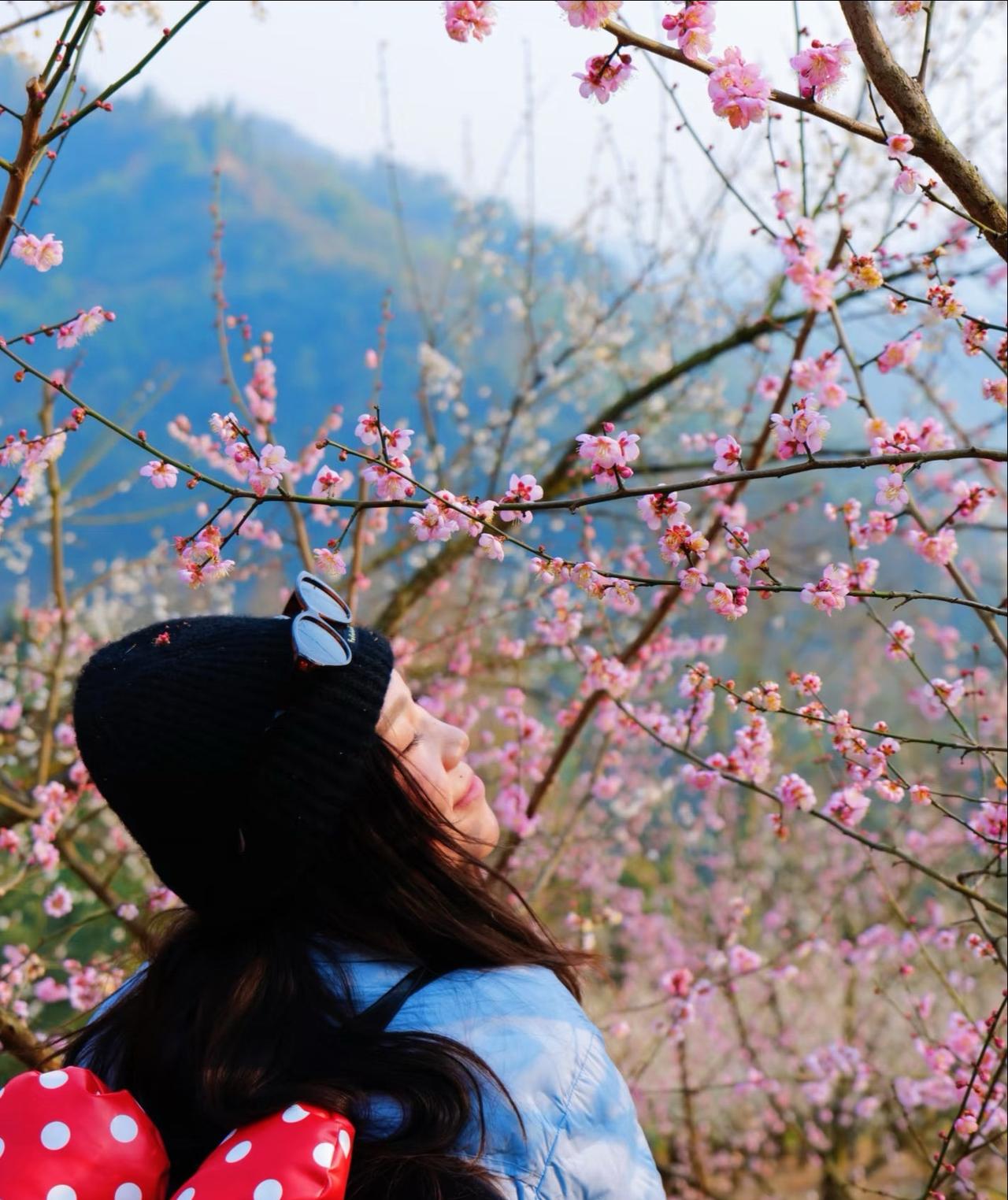 大邑雁鹅村📍满山梅花超出片
📍成都 
成都周边｜1.3h直达梅花海！人少免费