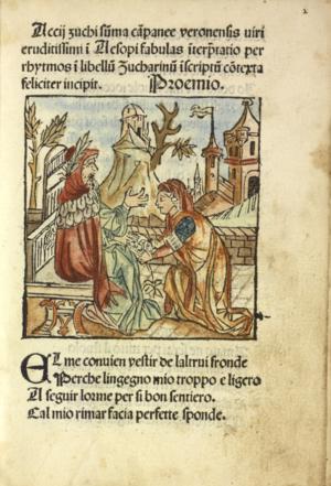 《伊索寓言》：西方寓言的始祖，揭示智慧与人生的千古经典
在浩如烟海的文学宝库中，