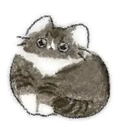 右滑二次元小猫变三次元小猫