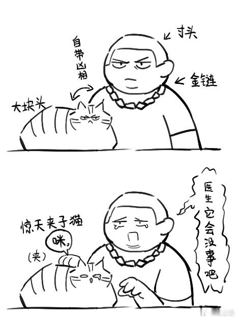 去宠物医院见到的这种事 