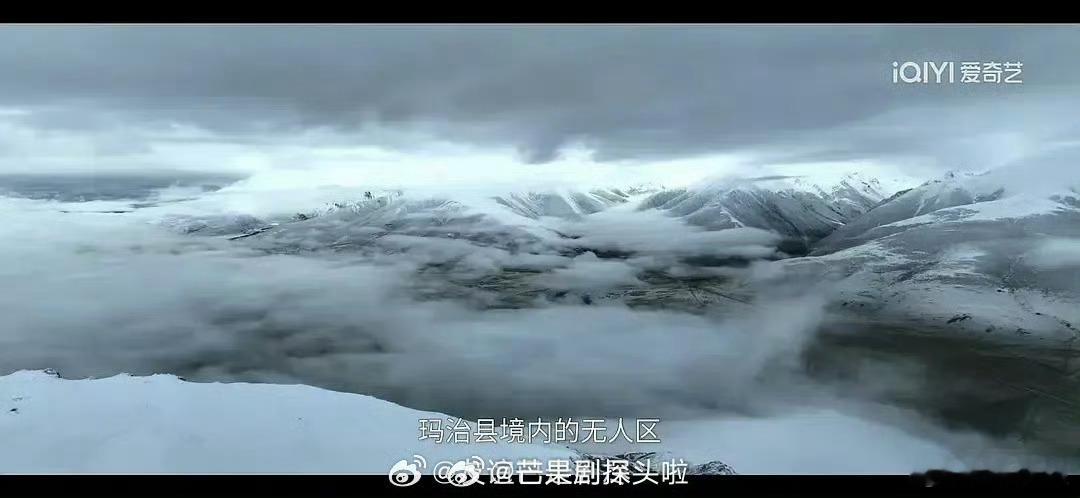 生命树实景拍摄质感拉满生命树实景拍摄的质感 生命树实景拍摄，质感拉满 