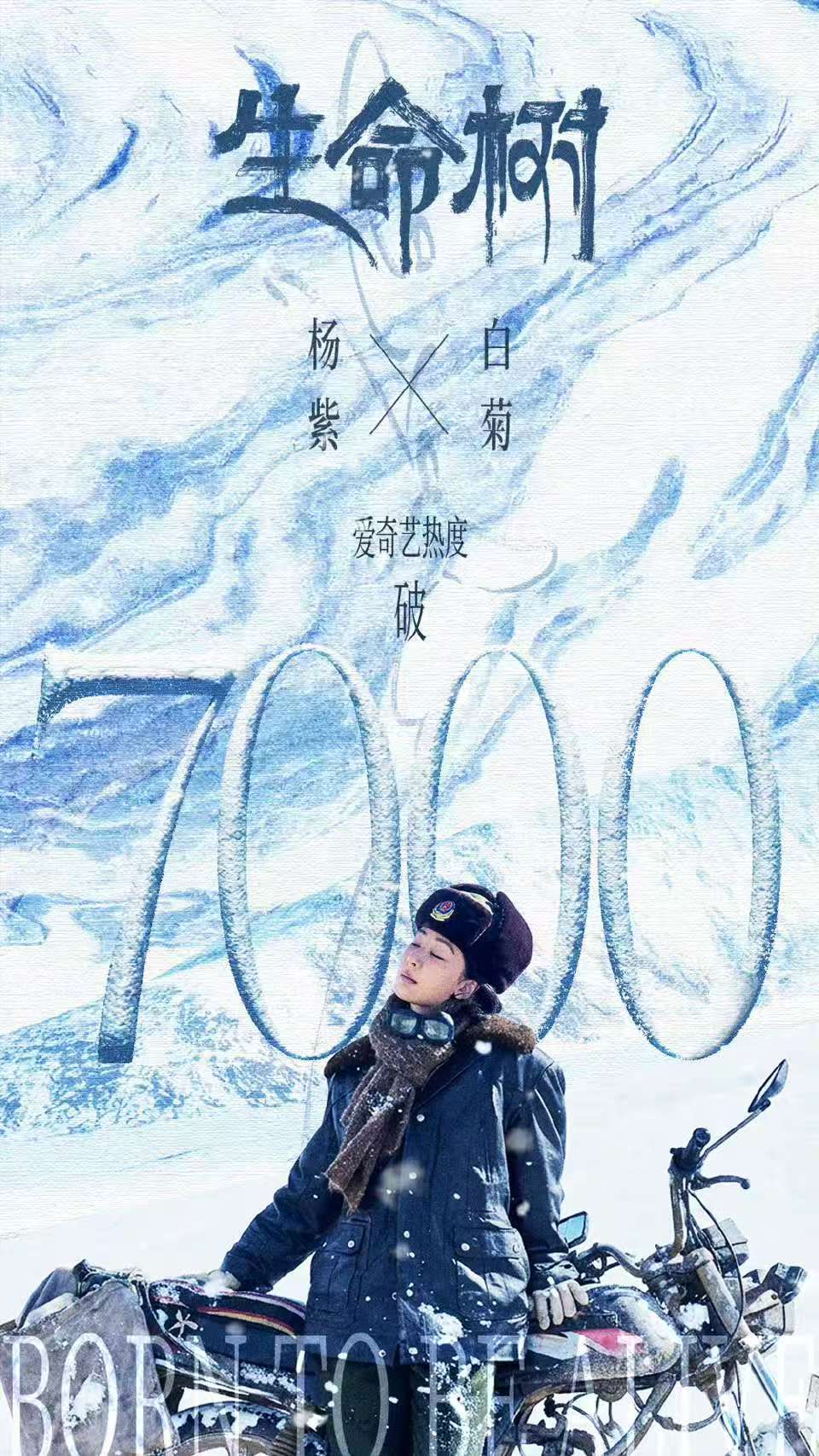 杨紫生命树热度破7000生命树爱奇艺站内热度破7000 杨紫生命树爱奇艺站内热度