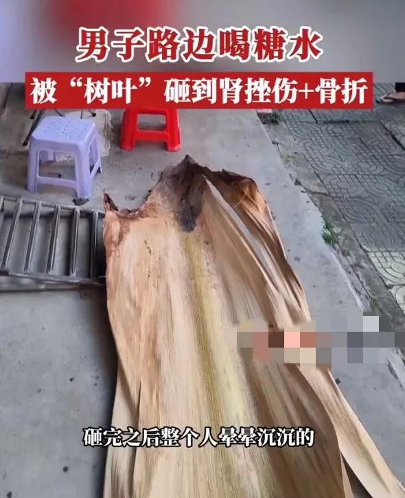 广东男子被树叶砸伤，赔偿2.2万元
大王椰子树落叶的威力如此之大，万一被击中，造