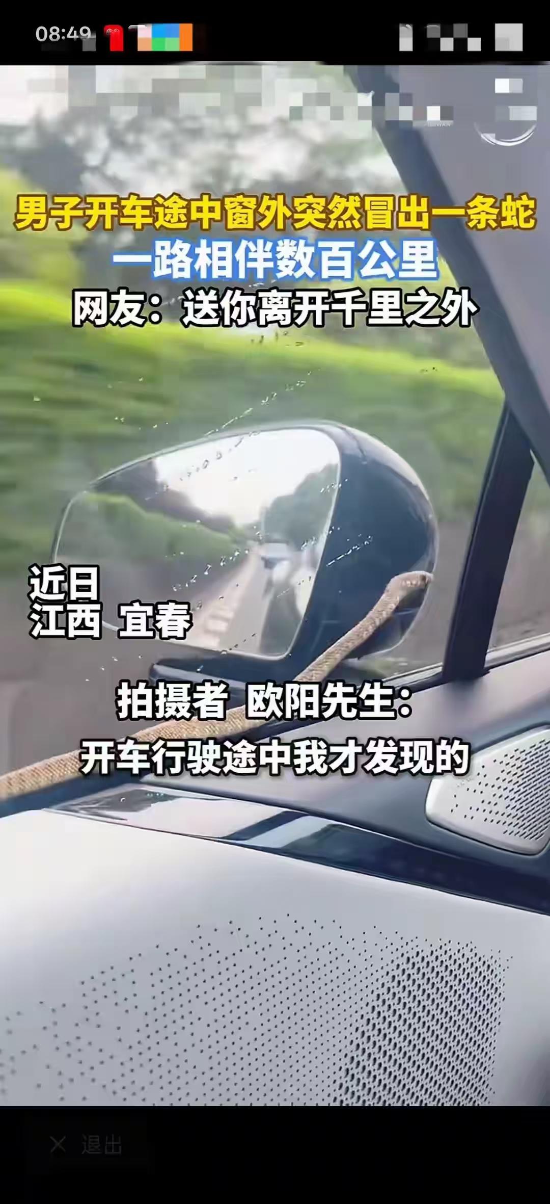 奇妙之旅！江西宜春，欧阳先生最开车出门时，突然瞥见副驾驶窗外爬着一条小蛇，一开始