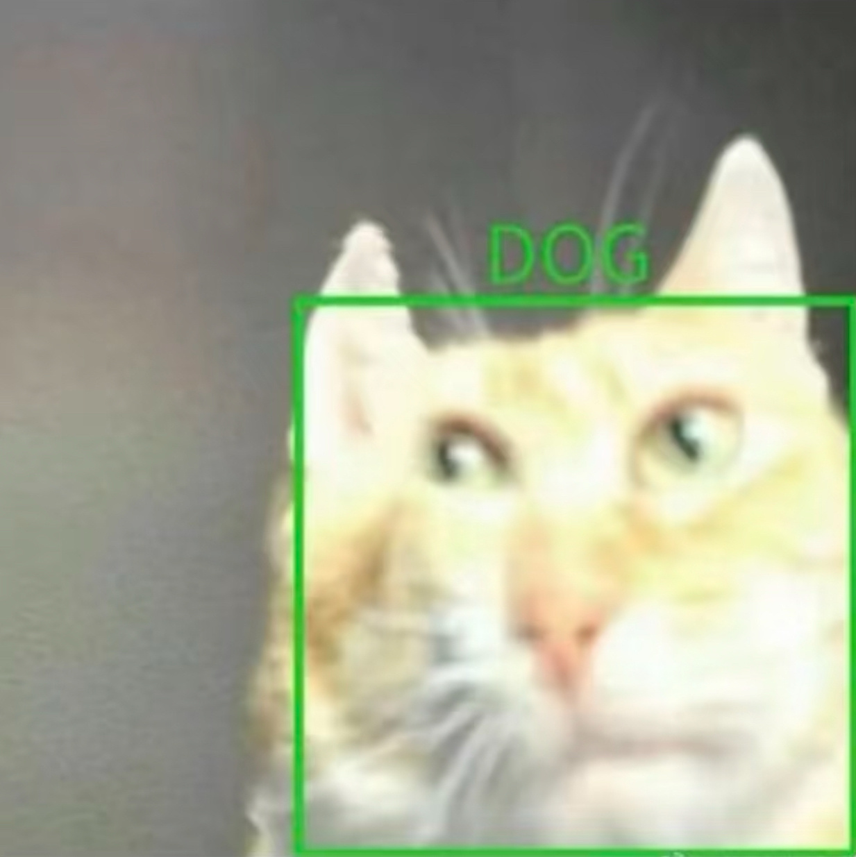 给小猫同人册画签绘中，画完草稿发现只有大猫袒胸露乳媚态百出（。博主对池叔叔真的很