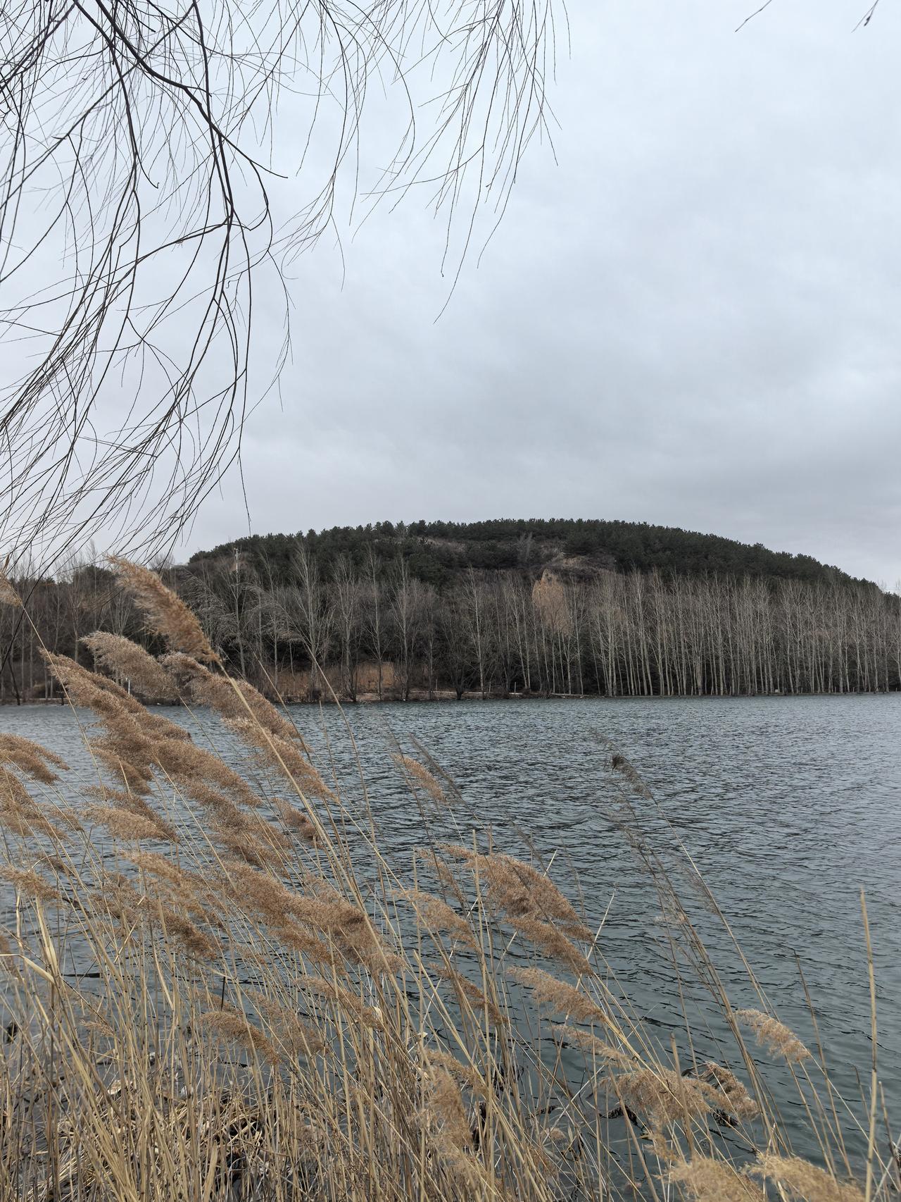 一路山色，随手拍一张风景照