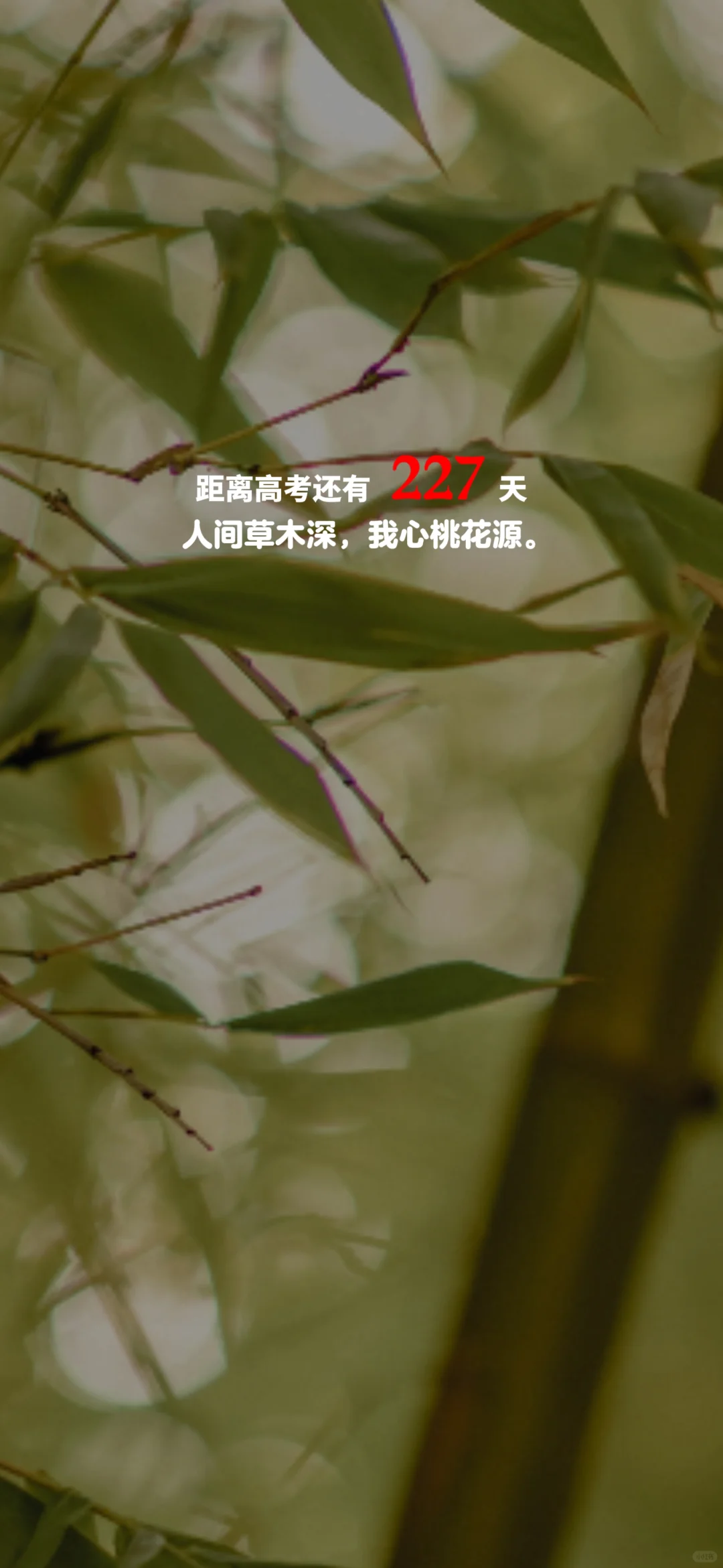 2025高考倒计时，每日更新。