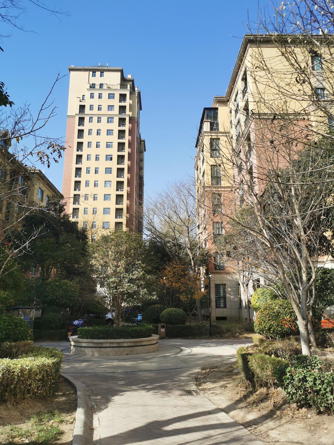 今年冬天有点暖。
也许是还没有到寒冬。
树木还绿意盎然，穿着叶的盛装。
我们不必