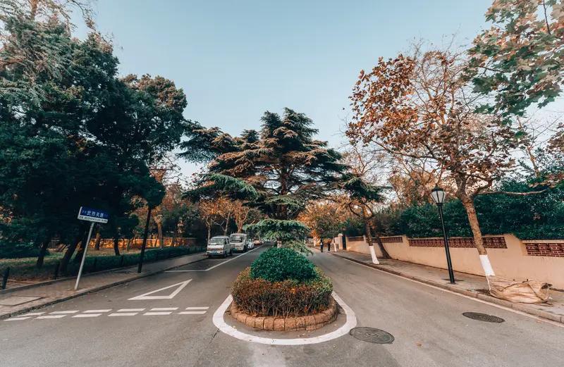 鲁迅先生的思想精髓，其核心在于“立人”。他深知愚弱的国民即便有着强健的体魄，倘若