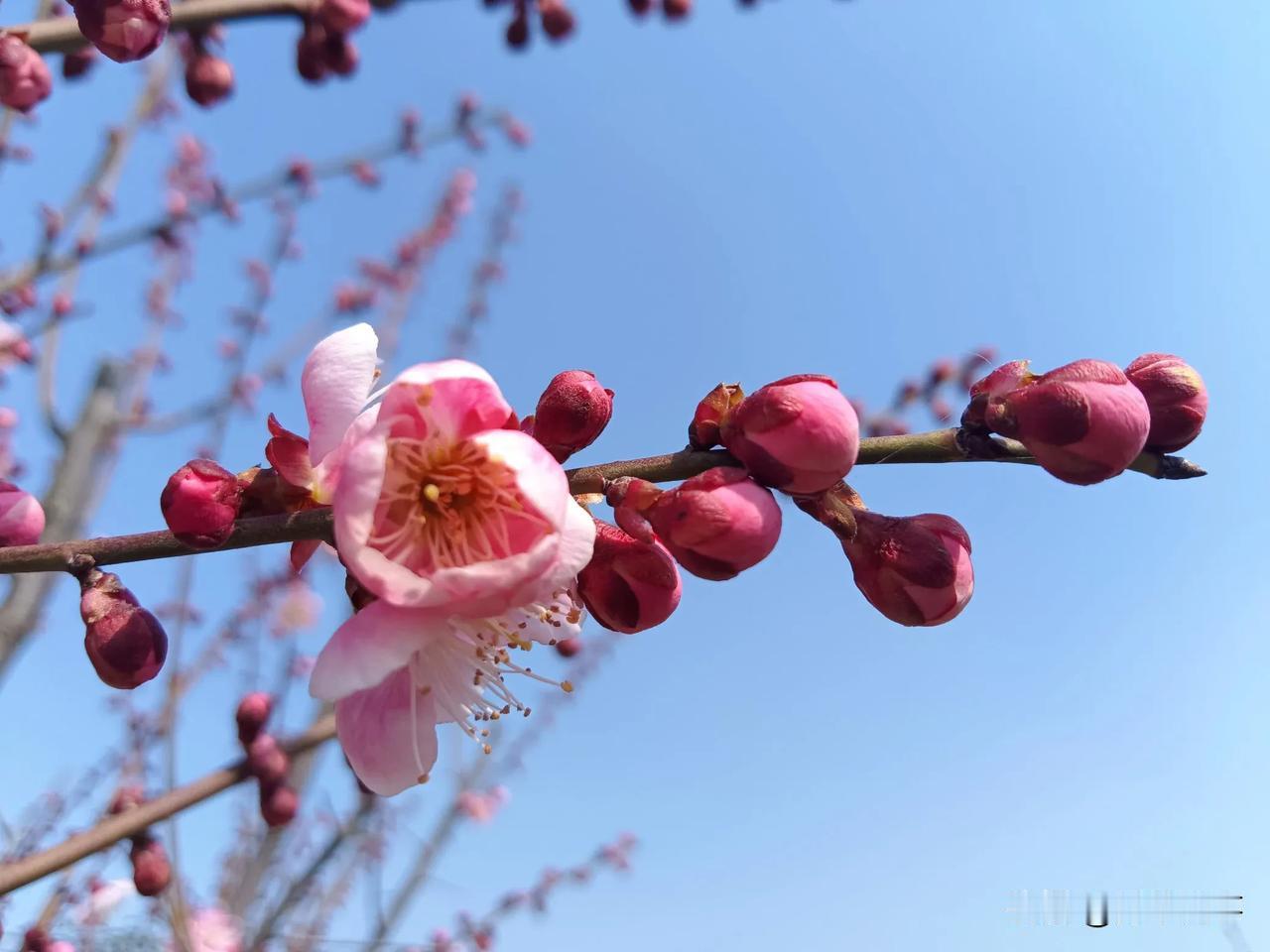 两天前去给父母浇花，结果发现他们厨房里的净水机嘀嘀作响。当时不知道怎么回事就想着