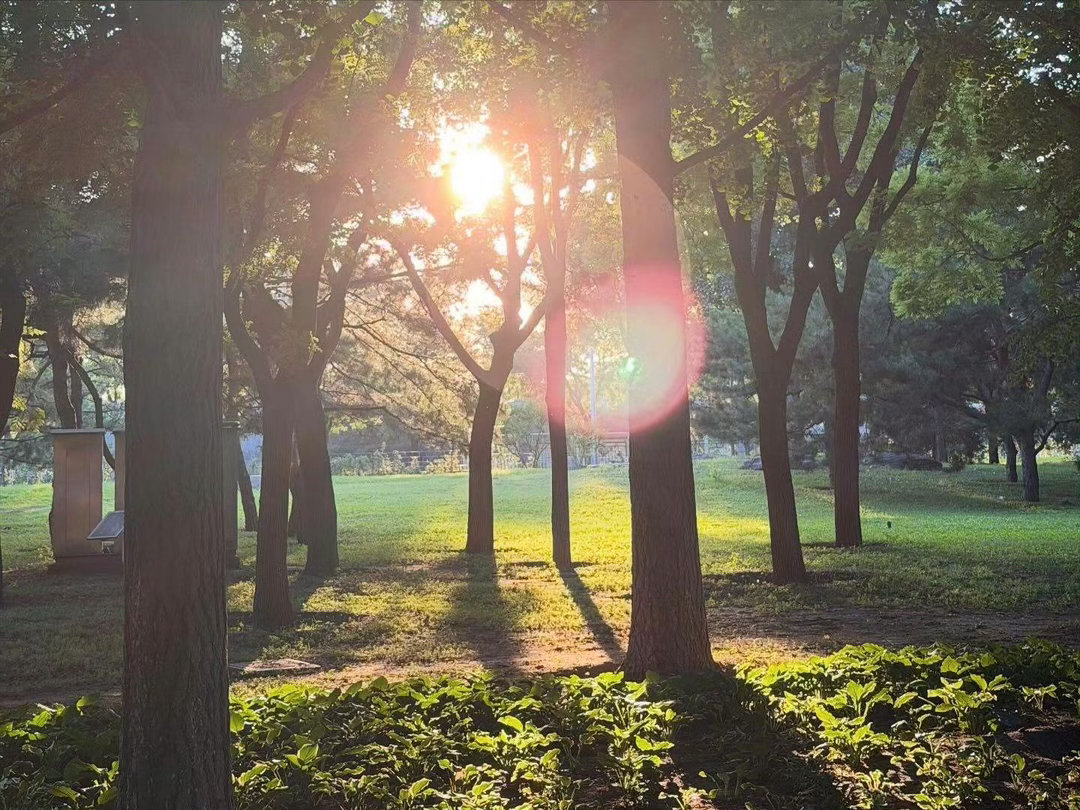 hope📷sun 