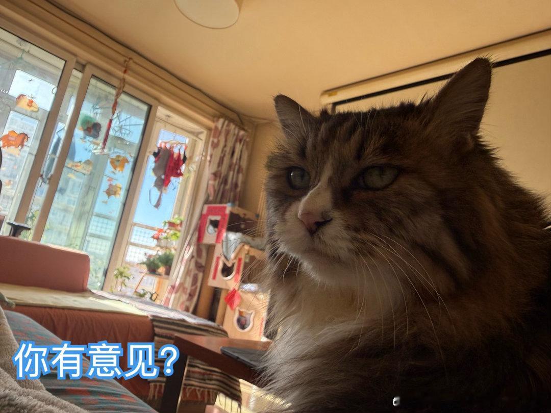 早上赵老师追着我跟我说我昨天晚上又抢了他的被子，说我一把就拽走了，他拉都拉不住，