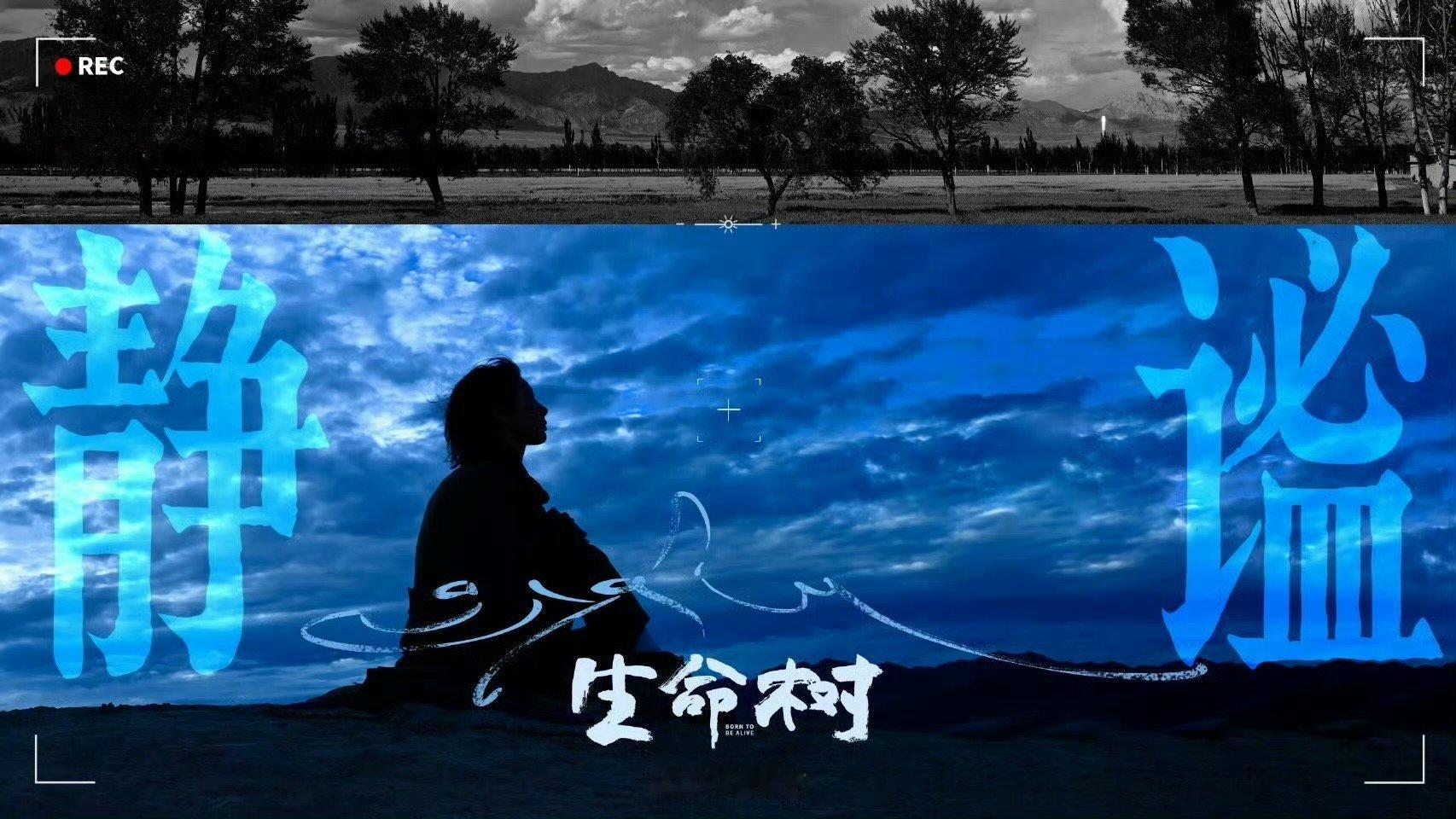 生命树获白玉兰6项提名 匠心铸就精品，实力赢得荣誉，六项提名是业界给出的高度肯定