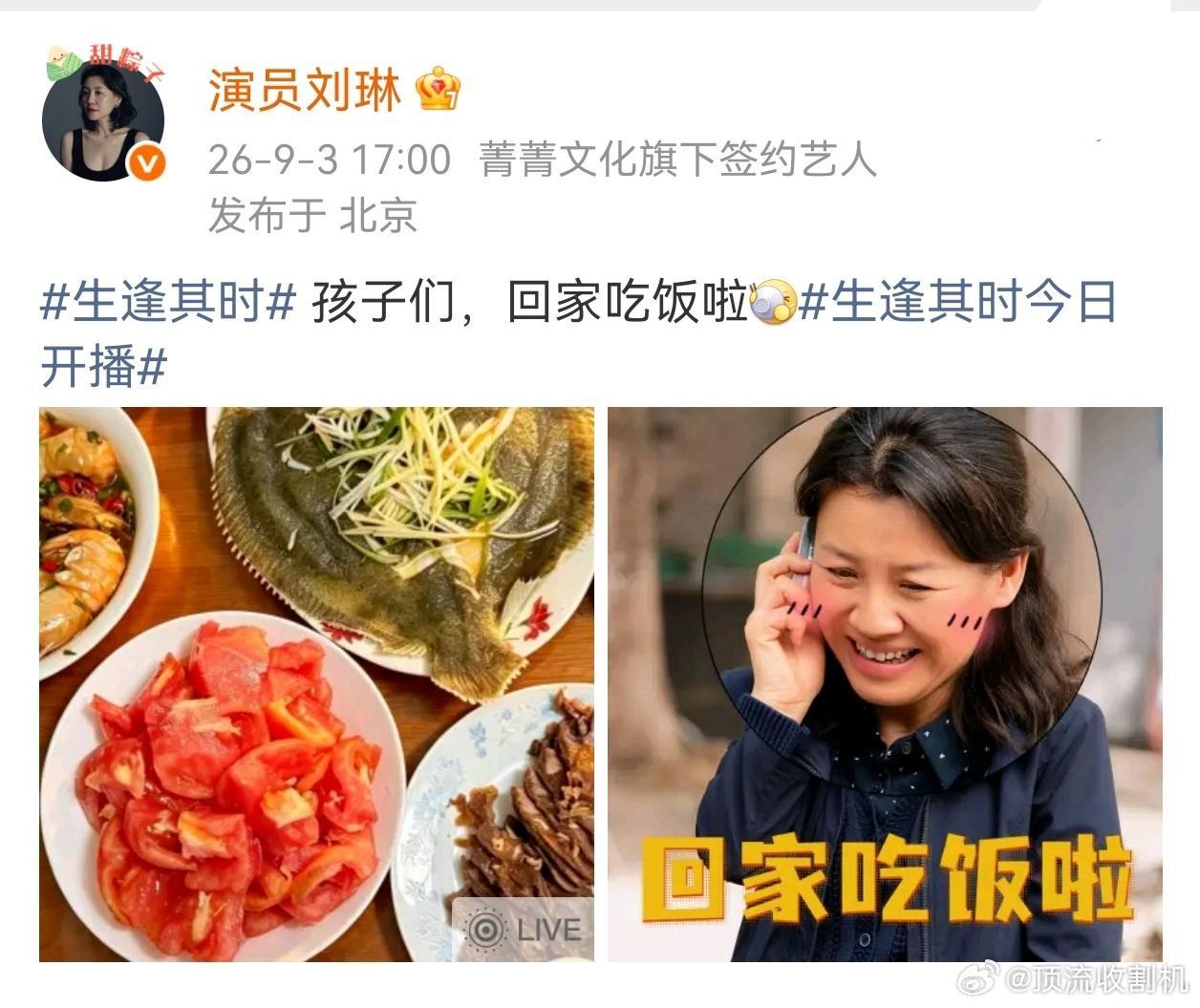刘琳评论区听取妈声一片生逢其时 刘琳一出演妈妈评论区就变认亲大会！张晚意张新成张