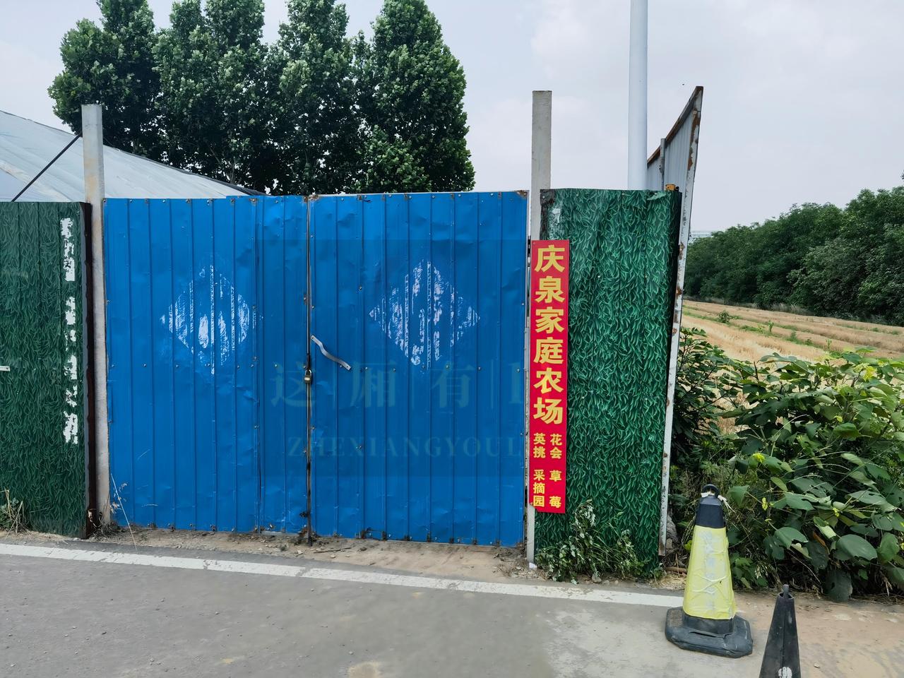今天去济南市中区的陡沟街道郑庄村瞻仰毛泽东主席的塑像，听说附近的马庄还有一尊主席