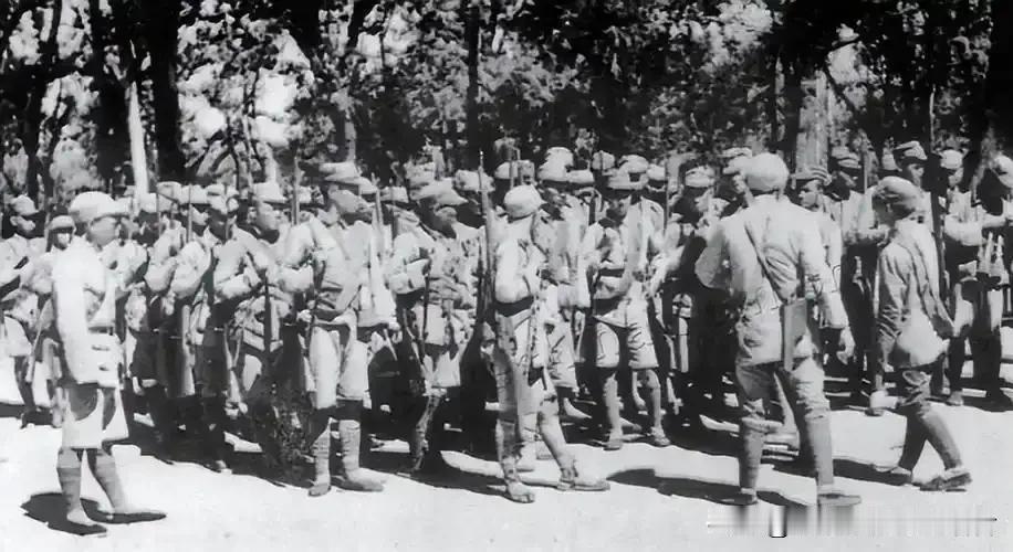 1940年，鲁南的冬天格外冷。东北军内部发生一桩震动全军的事——一个连队悄无声息