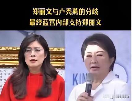 卢秀燕是个外表蓝，内里绿的人，她不会得到国民党基本盘认可的，那样的话，只指望中间