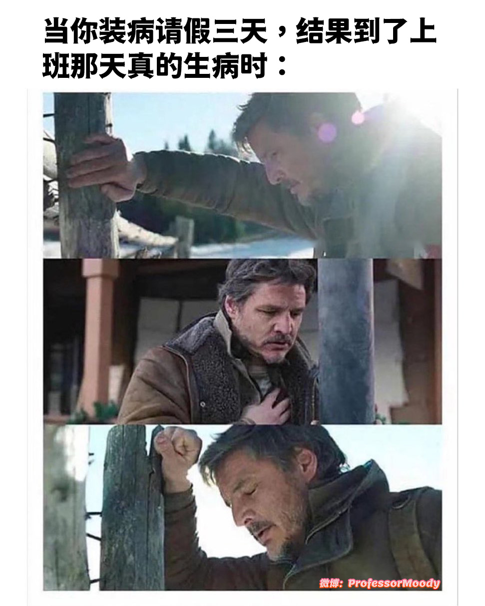 去公司说这次病得很重，撑半天再请三天meme