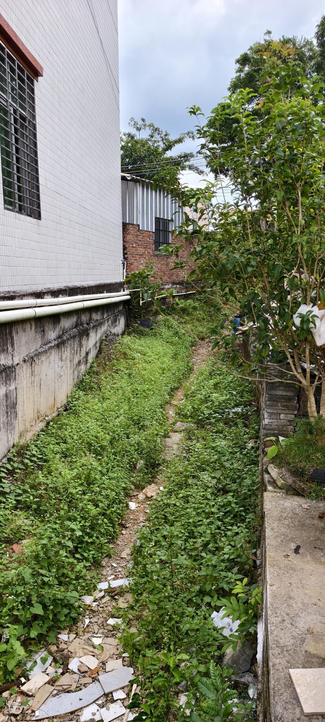 分享一张你回家路途的照片