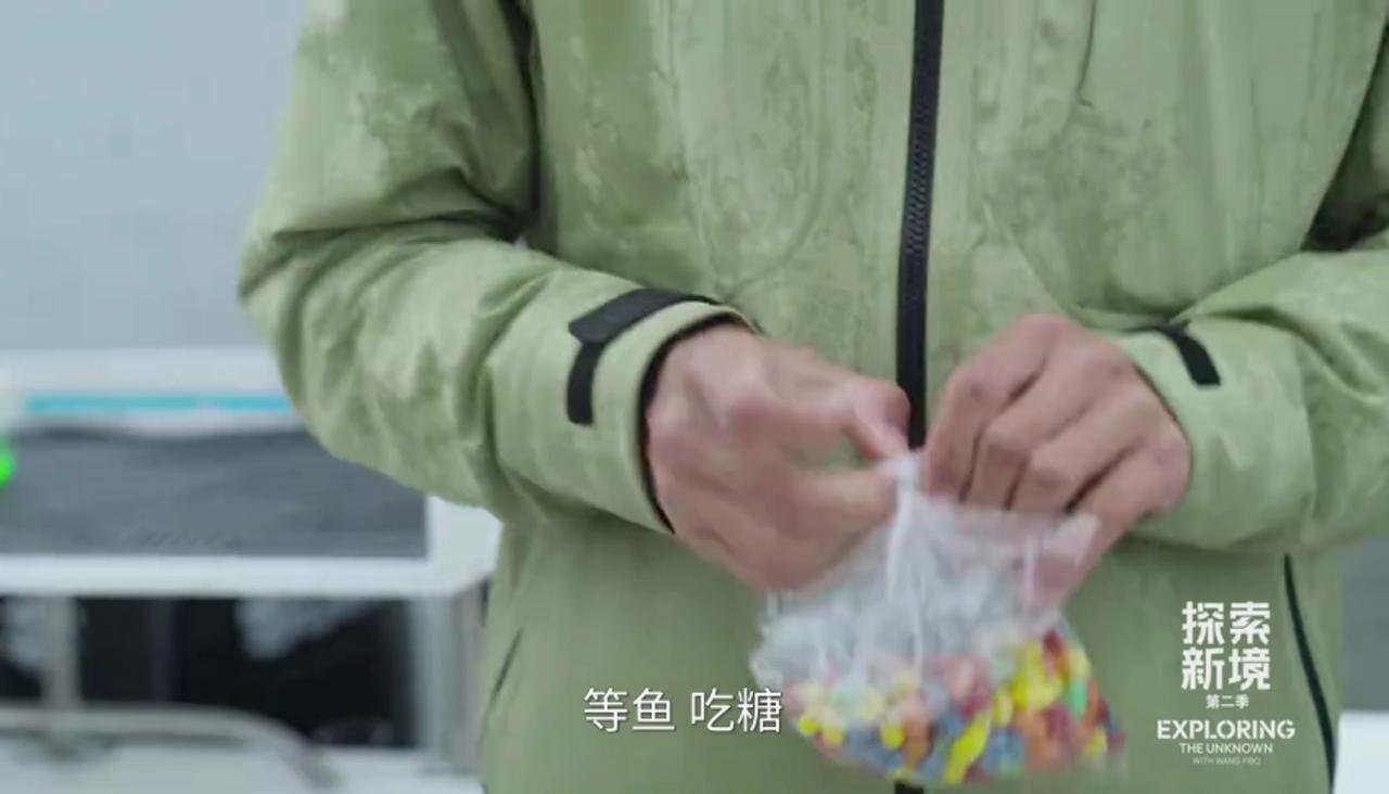 “等鱼，吃糖”
纯纯的小盆友的游戏[捂脸]自己抛糖吃、互相抛糖吃……哈哈哈哈哈，