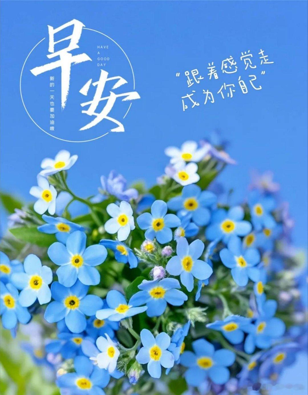 早安 新一天到来，先给自己一个微笑。常怀感恩之心，多给自己一点鼓励，那些期待中的
