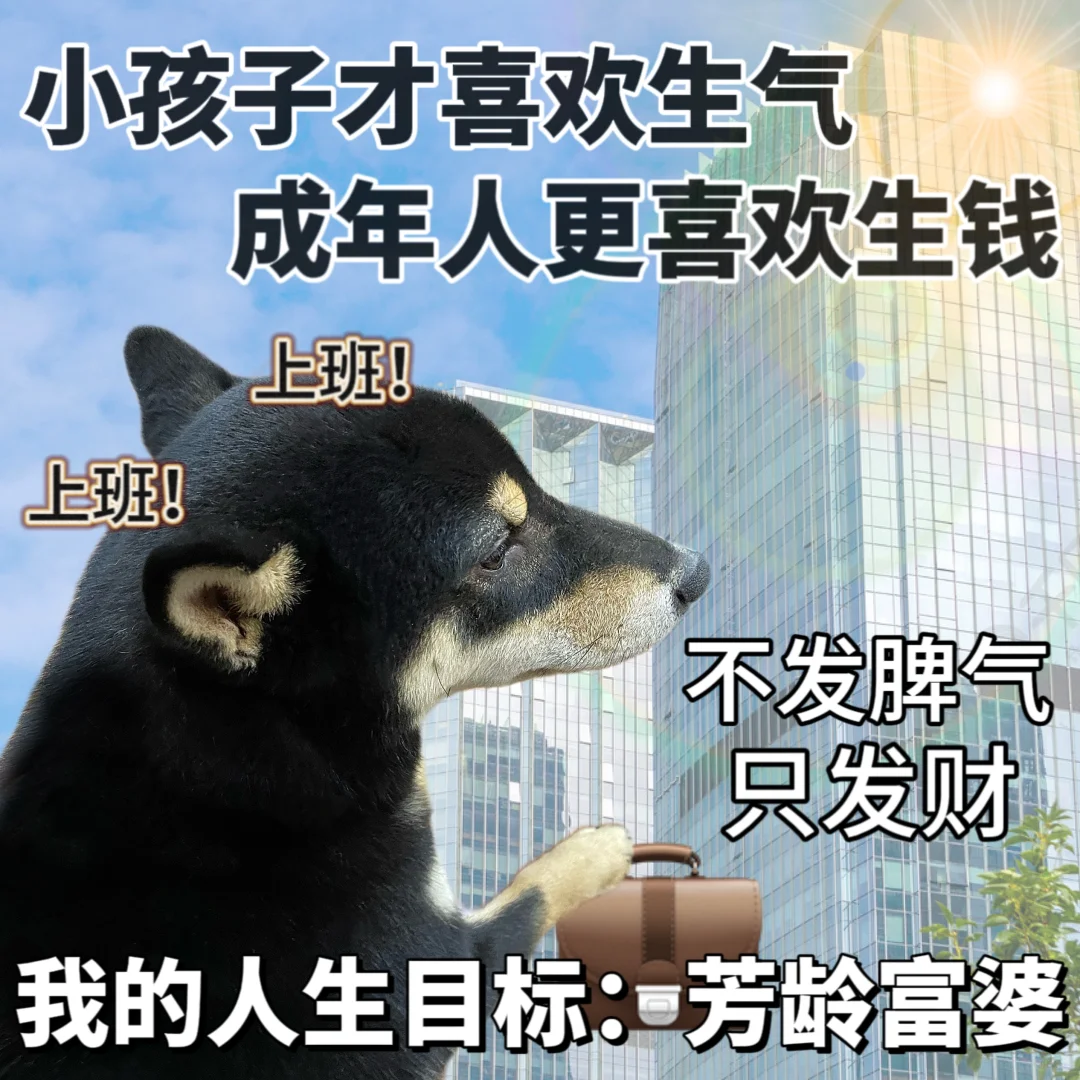 表情包|人生所求 发财自由☺️