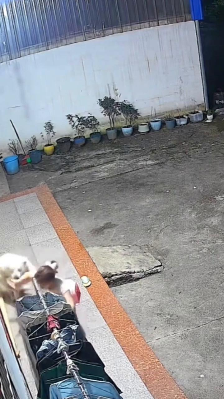 欺负的时候总听见东方什么，擦干泪不要怕，至少我们还有梦。